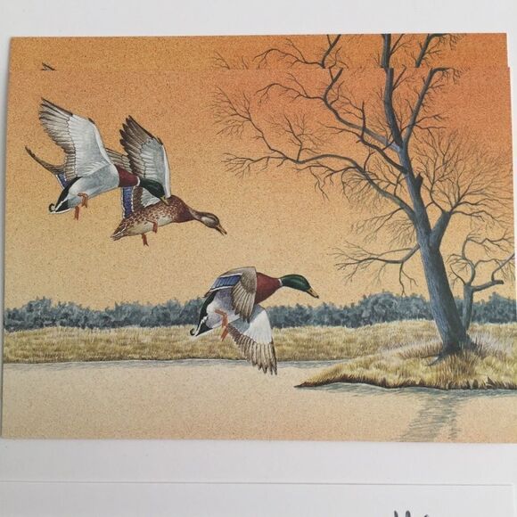 Vintage Current Birthday Cards Bundle/Lot 8 Animal Design Printed in the USA - Picture 4 of 8